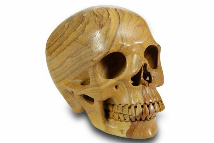 Realistic, Polished Picture Jasper Skull #378609